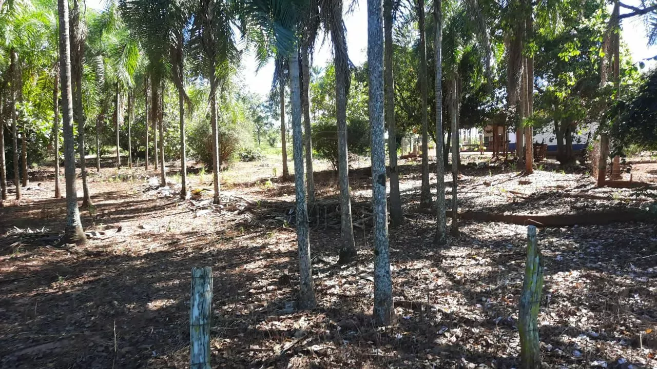 Comprar Fazenda